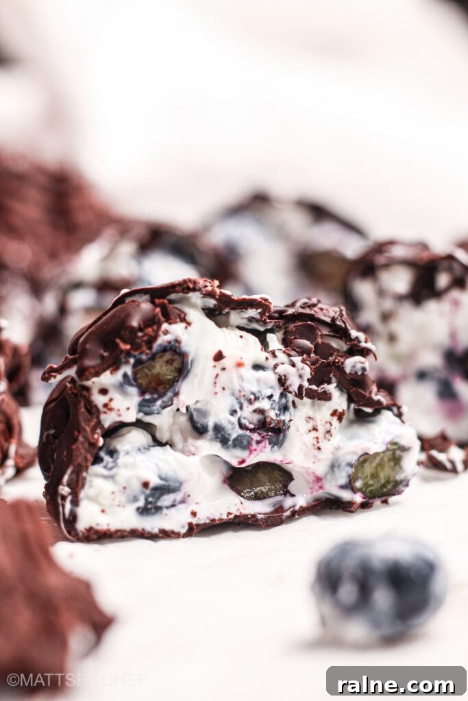 Blueberry Yogurt Clusters Recipe — No-Bake Snack Bites 4 Frozen Blueberry Yogurt Clusters