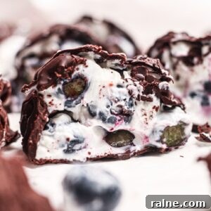 Blueberry Yogurt Clusters