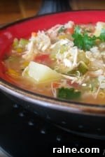 A bowl of hearty chicken stew with quinoa.