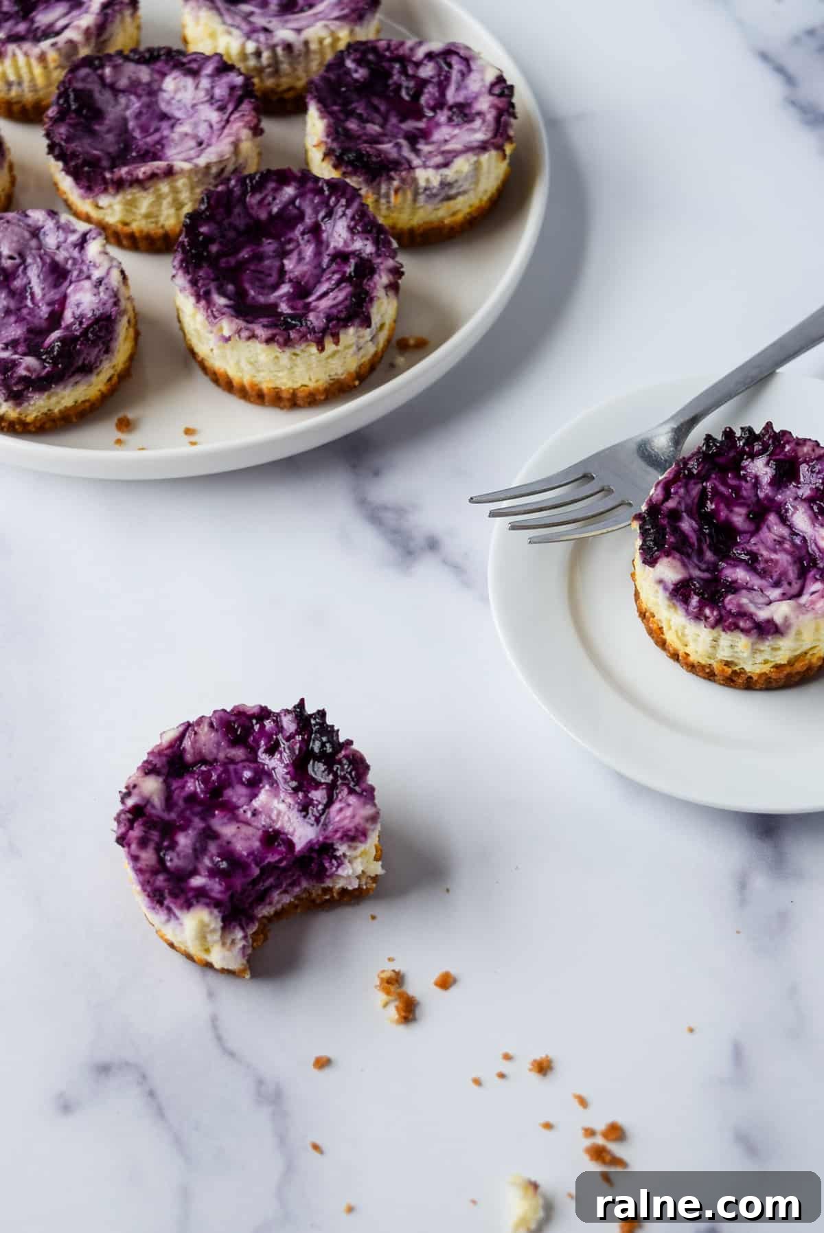 Blueberry Swirl Mini Cheesecakes.