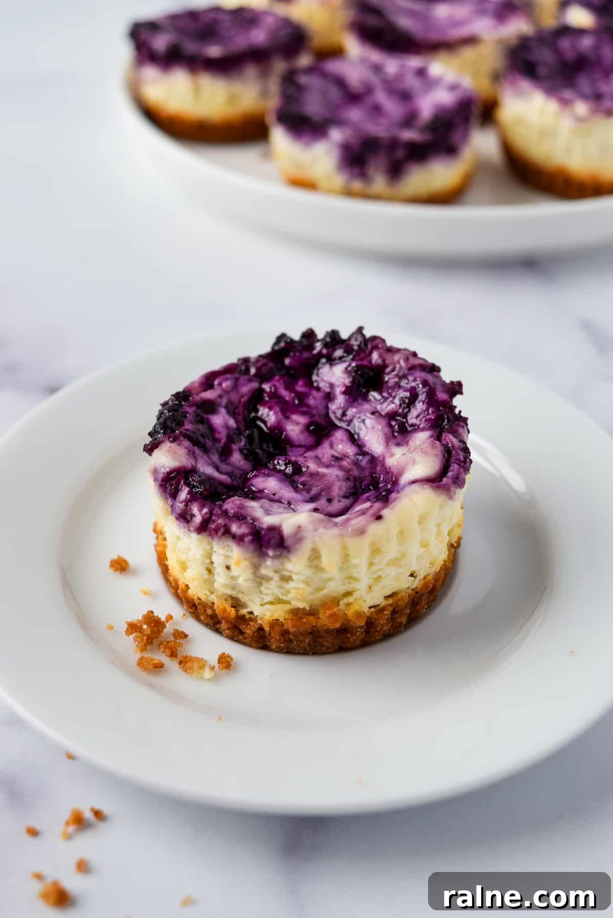 Blueberry Swirl Mini Cheesecakes.
