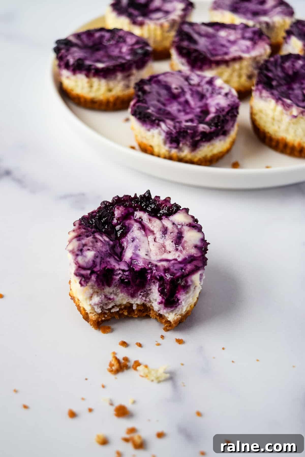 Blueberry Swirl Mini Cheesecakes.