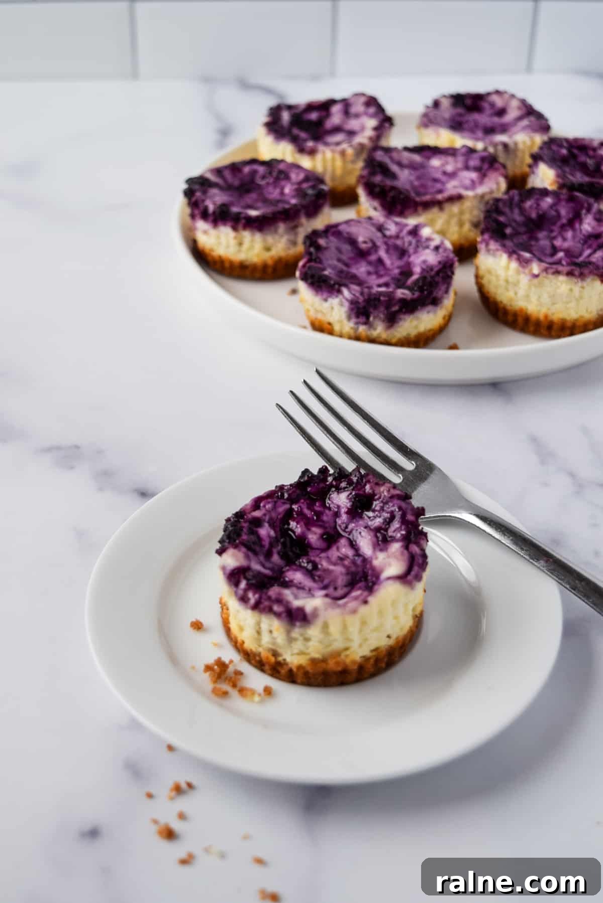 Blueberry Swirl Mini Cheesecakes.