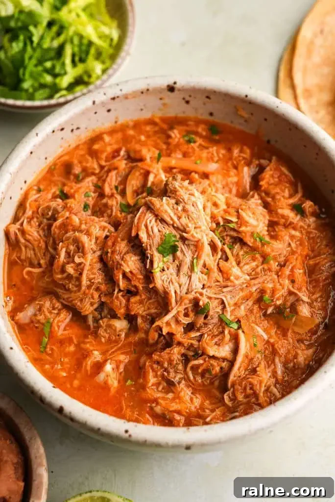 A bowl of chicken tinga with shredded chicken in a saucy tomato and chipotle mixture, garnished with chopped herbs.