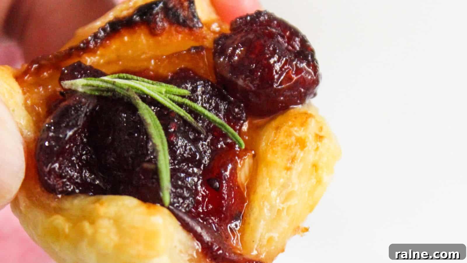 9 Simple Appetizers You Can Make With Just a Few Ingredients 3 Close-up of a pastry topped with cranberries and a sprig of rosemary.