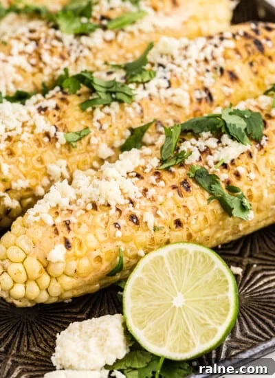 Grilled Mexican Street Corn with cilantro and crumbled cheese garnish, on baking sheet, limes on side