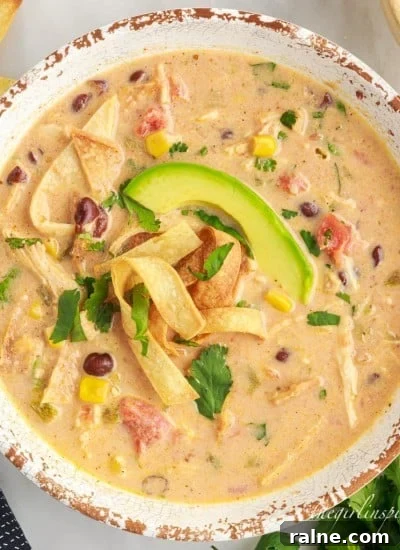 a bowl of crockpot chicken tortilla soup next to cilantro garnish.