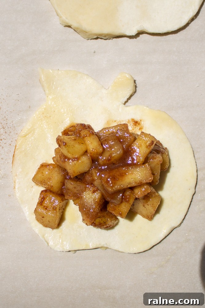 Homemade Apple Hand Pies with Cinnamon Sugar Filling 7 apple hand pies