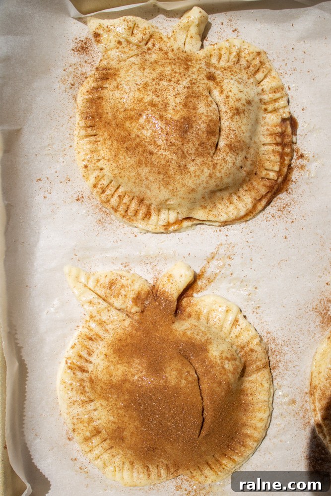 Homemade Apple Hand Pies with Cinnamon Sugar Filling 8 apple hand pies