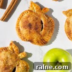 Homemade Apple Hand Pies with Cinnamon Sugar Filling 9 apple hand pies