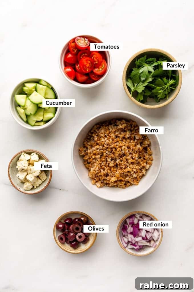 Mediterranean Farro Salad with Feta, Cucumber & Olives 3 ingredients for greek farro salad