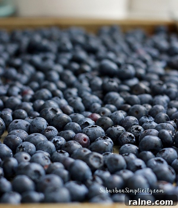 25 Fun Summer Activities for Tweens to Try 4 Blueberries for BlueBerry Cobbler