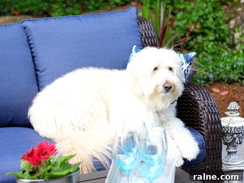 25 Fun Summer Activities for Tweens to Try 5 You can totally do a Backyard Patio Makeover in One Afternoon! Update and refresh for a new outdoor living space.