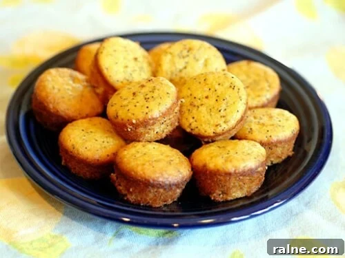 Zesty Lemon Poppy Seed Muffins with Moist, Tender Crumb 2 lemon poppy seed muffins