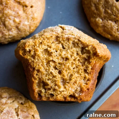 Gingerbread Banana Muffins with Warm Spices and Molasses 12 img 28945 11