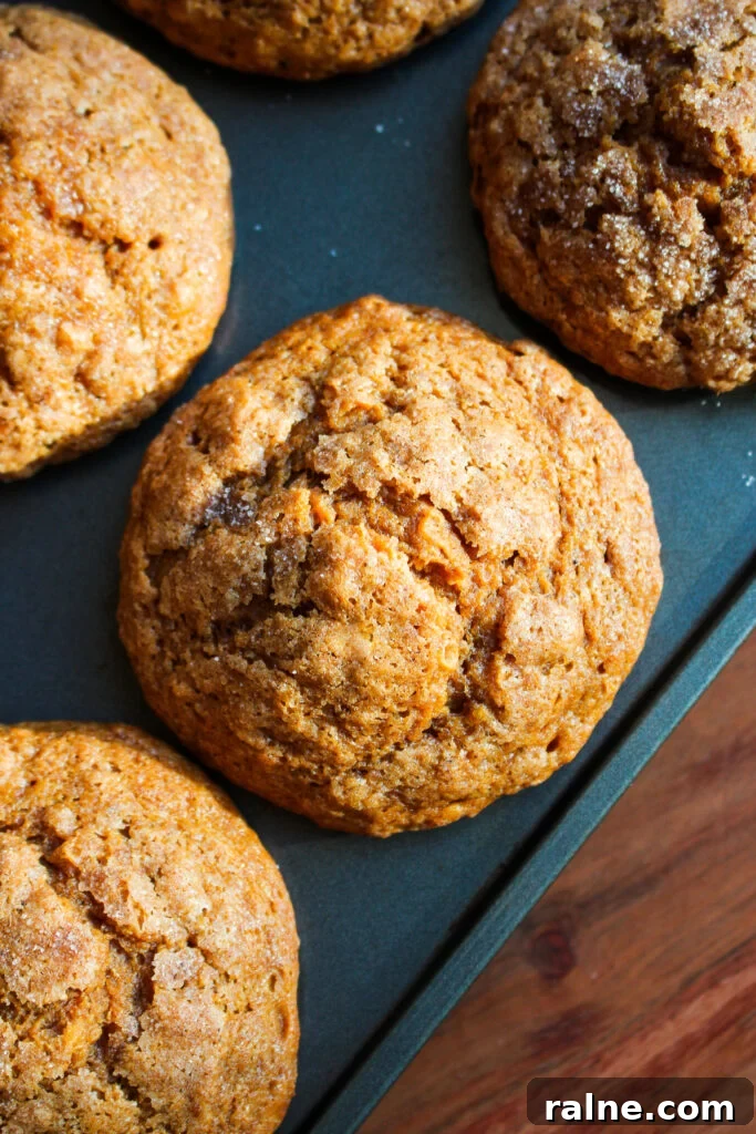 Gingerbread Banana Muffins with Warm Spices and Molasses 10 img 28945 9
