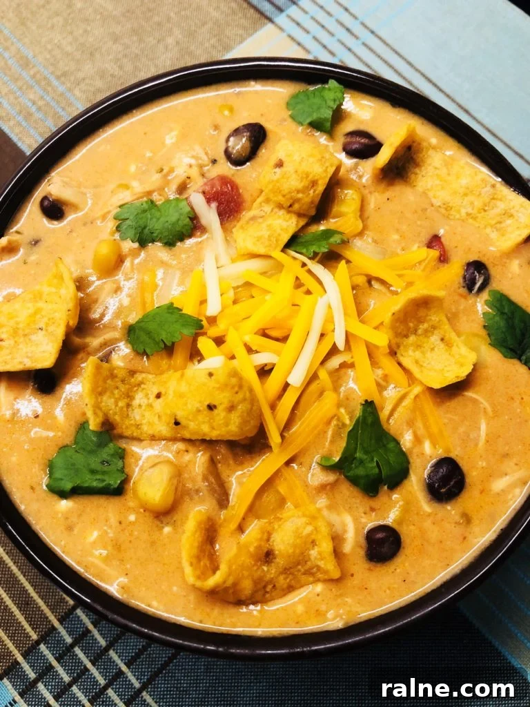 Sriracha Chicken Noodle Soup Made in the Slow Cooker 12 Slow Cooker Chicken Taco Soup