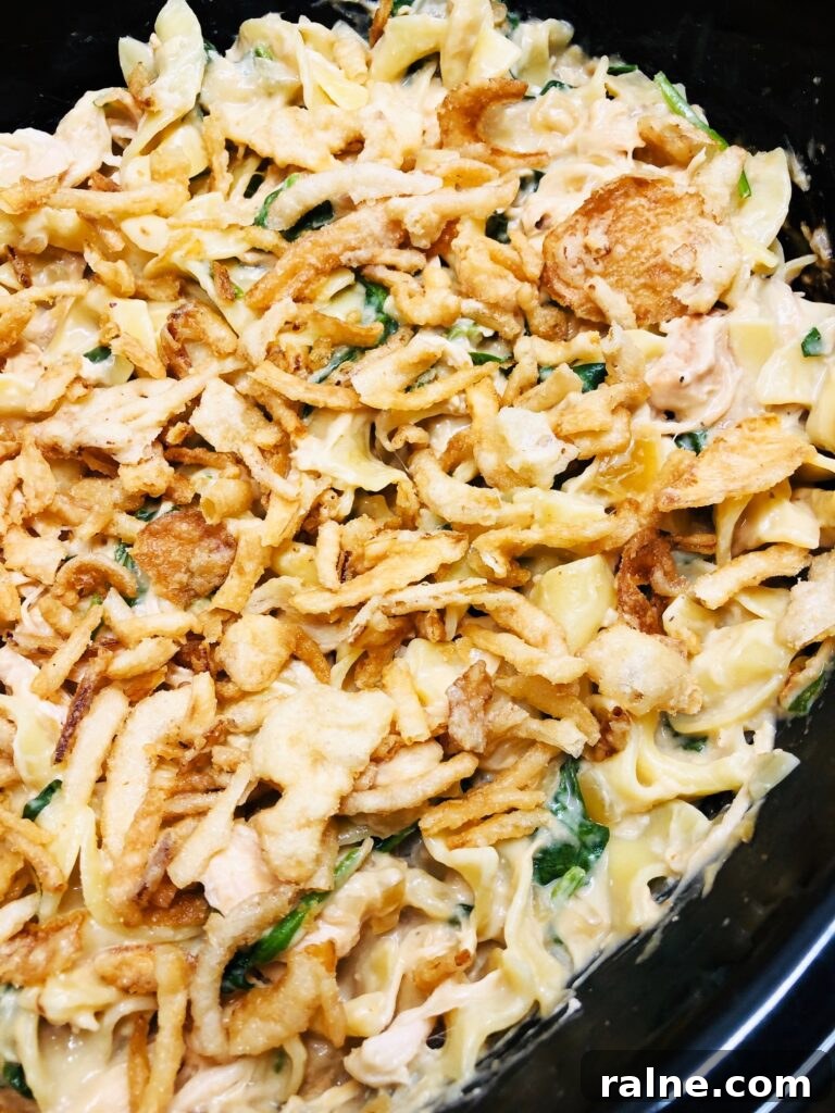Sriracha Chicken Noodle Soup Made in the Slow Cooker 13 Slow Cooker French Onion Chicken and Noodles