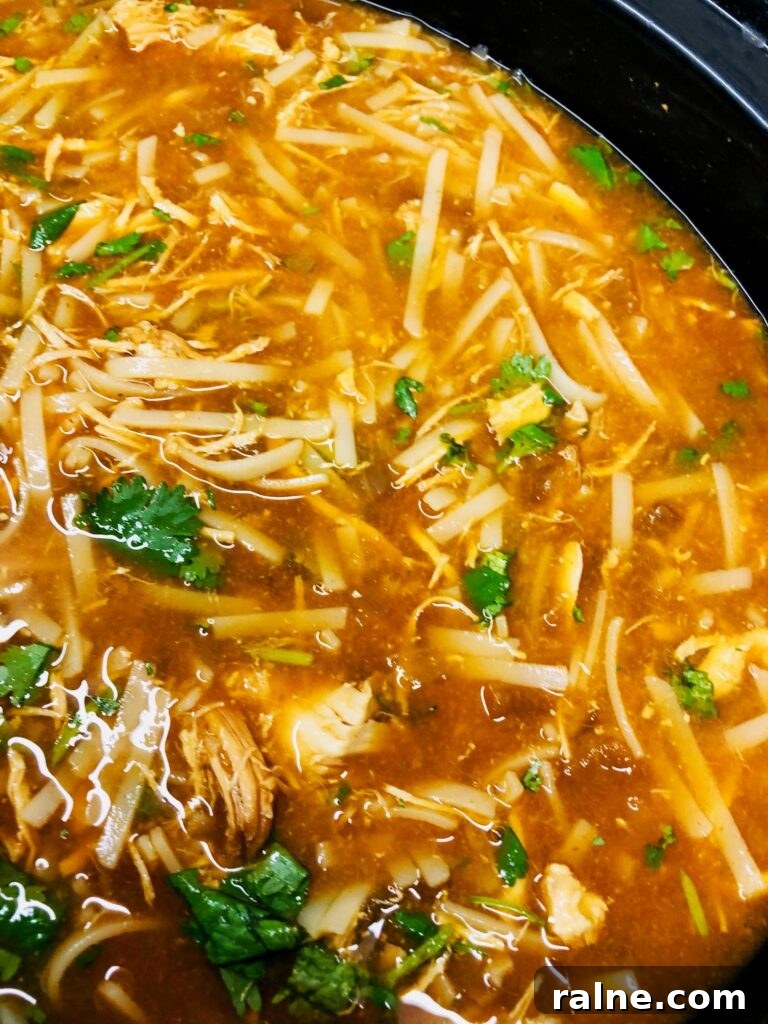Sriracha Chicken Noodle Soup Made in the Slow Cooker 7 soup in slow cooker