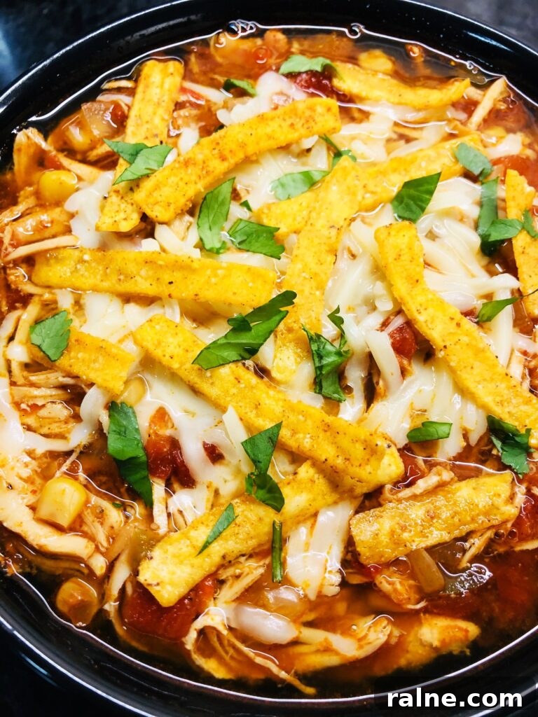 Sriracha Chicken Noodle Soup Made in the Slow Cooker 10 Slow Cooker Chicken Tortilla Soup