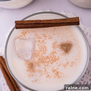 Authentic Horchata Recipe: How to Make Mexican Rice Horchata 7 traditional horchata served in a clear glass with ice and topped with a pinch of ground cinnamon for garnish