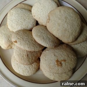 Sour Milk Cookies and 4 Classic Amish Recipes Using Sour Milk 5 Sour Milk Cookies
