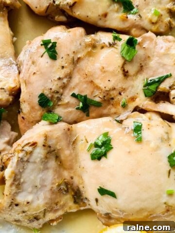 Close up of juicy lemon chicken thighs