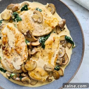 Close up of a full plate of chicken with creamy mushrooms