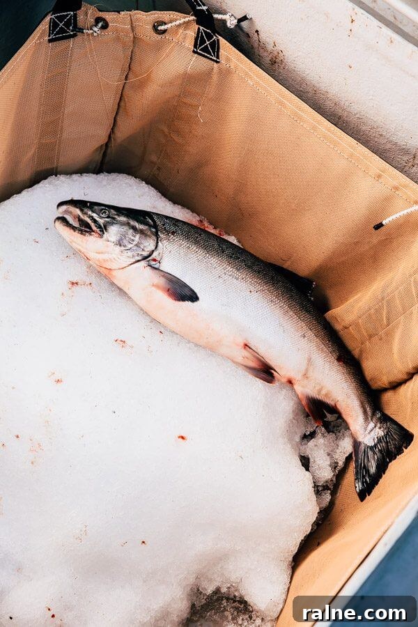 Copper River Salmon Fishing Guide — Cordova, Alaska Trips & Tips 13 cordova-alaska-1-94