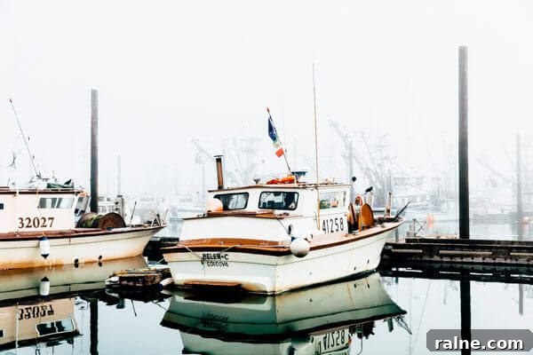 Copper River Salmon Fishing Guide — Cordova, Alaska Trips & Tips 14 Salmon Fishing in Cordova, Alaska