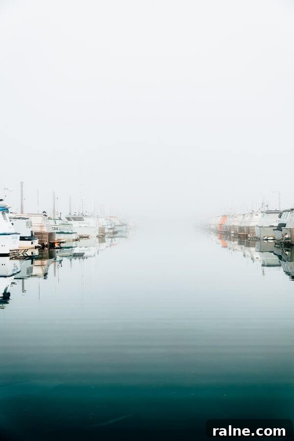 Copper River Salmon Fishing Guide — Cordova, Alaska Trips & Tips 15 Foggy docks of Cordova, Alaska