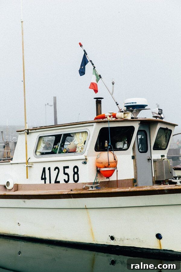 Copper River Salmon Fishing Guide — Cordova, Alaska Trips & Tips 17 Salmon Fishing in Cordova, Alaska