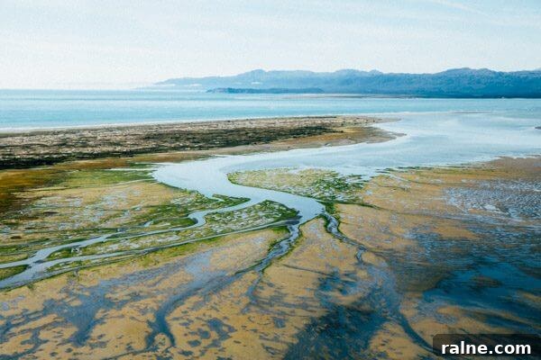 Copper River Salmon Fishing Guide — Cordova, Alaska Trips & Tips 25 cordova-alaska-1-125