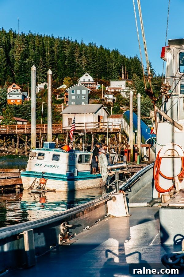 Copper River Salmon Fishing Guide — Cordova, Alaska Trips & Tips 9 Cordova, Alaska