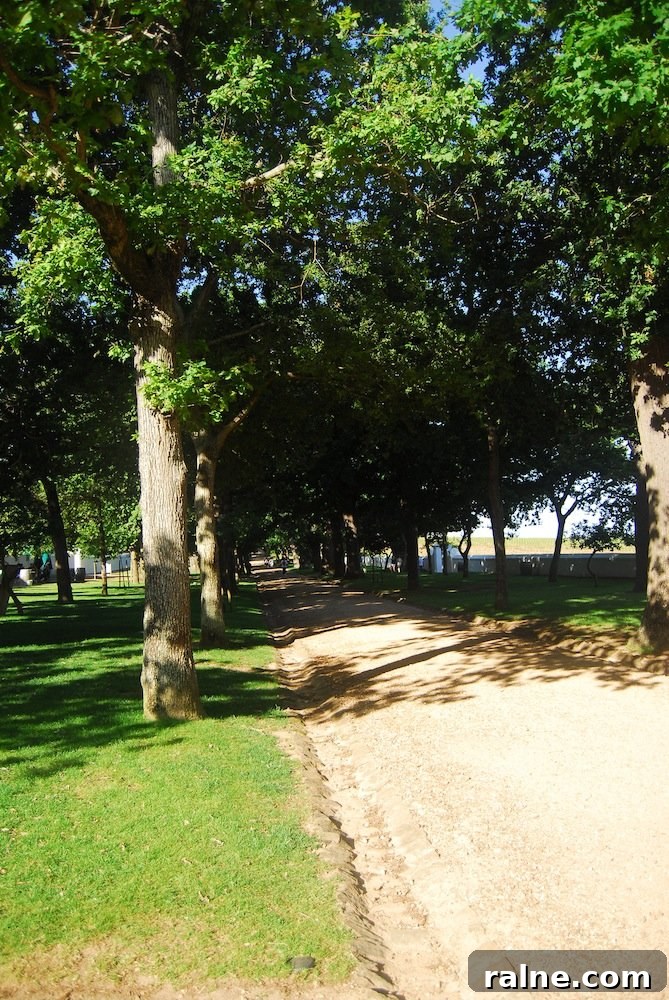 Discover Groot Constantia: Wine Tours & History in Cape Town 11 A Duck's Oven: Groot Constantia Wine Estate in Cape Town, South Africa