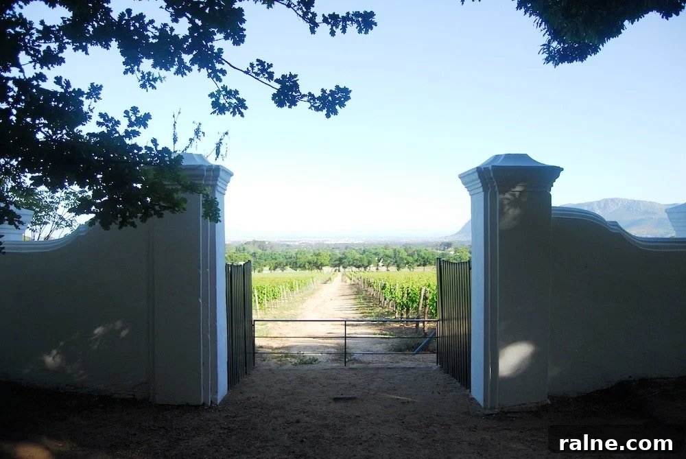 Discover Groot Constantia: Wine Tours & History in Cape Town 14 A Duck's Oven: Groot Constantia Wine Estate in Cape Town, South Africa