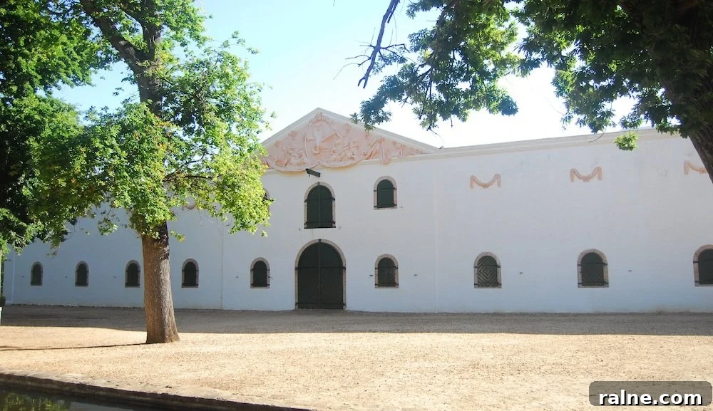 Discover Groot Constantia: Wine Tours & History in Cape Town 17 A Duck's Oven: Groot Constantia Wine Estate in Cape Town, South Africa
