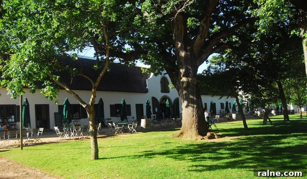 Discover Groot Constantia: Wine Tours & History in Cape Town 18 A Duck's Oven: Groot Constantia Wine Estate in Cape Town, South Africa