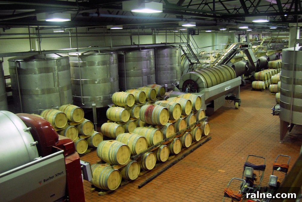 Discover Groot Constantia: Wine Tours & History in Cape Town 3 A Duck's Oven: Groot Constantia Wine Estate in Cape Town, South Africa