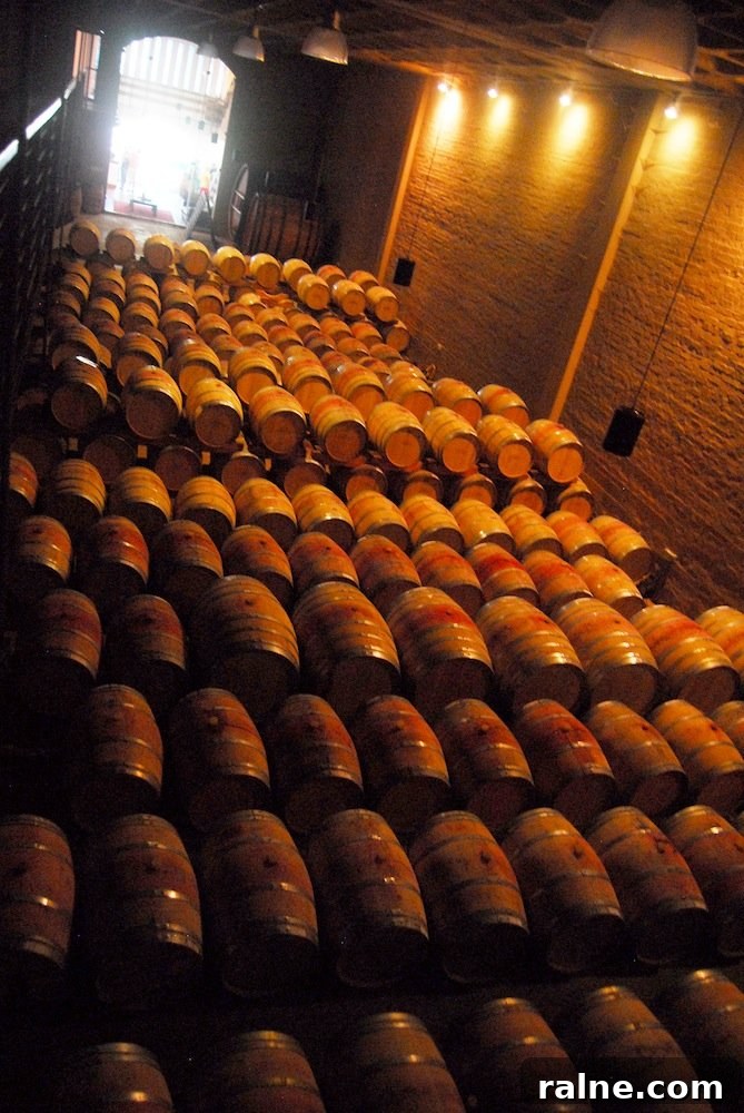 Discover Groot Constantia: Wine Tours & History in Cape Town 8 A Duck's Oven: Groot Constantia Wine Estate in Cape Town, South Africa