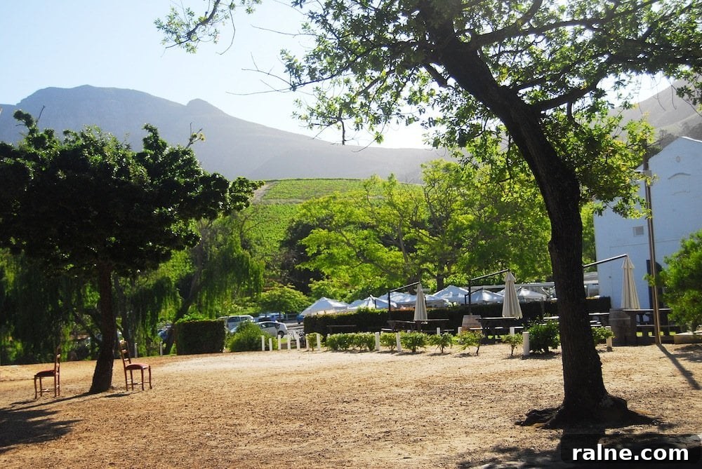 Discover Groot Constantia: Wine Tours & History in Cape Town 10 A Duck's Oven: Groot Constantia Wine Estate in Cape Town, South Africa