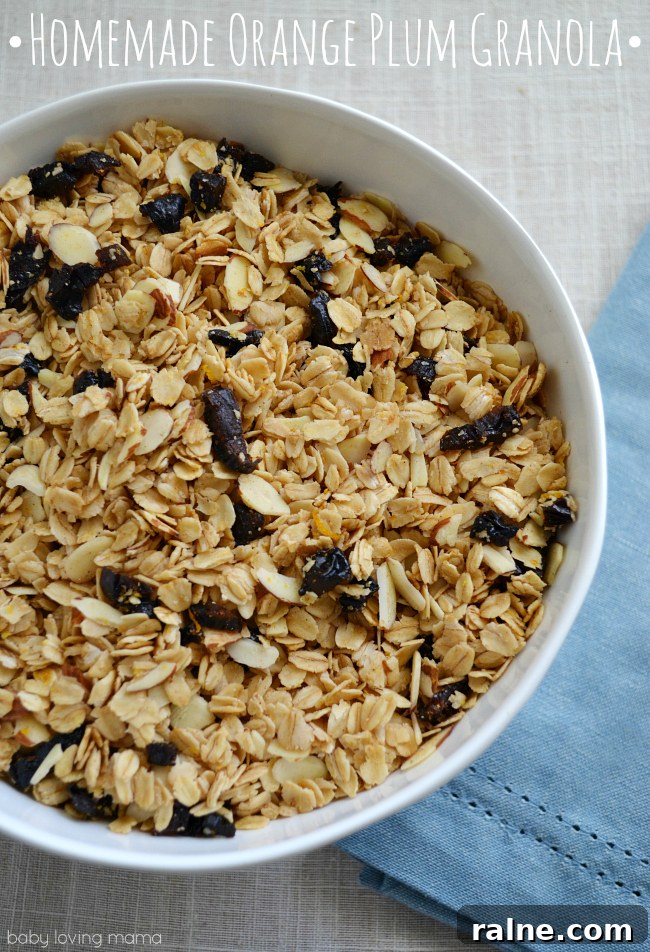 Homemade Trail Mix Granola Bars Recipe for On-the-Go Snacks 6 Homemade Orange Plum Granola