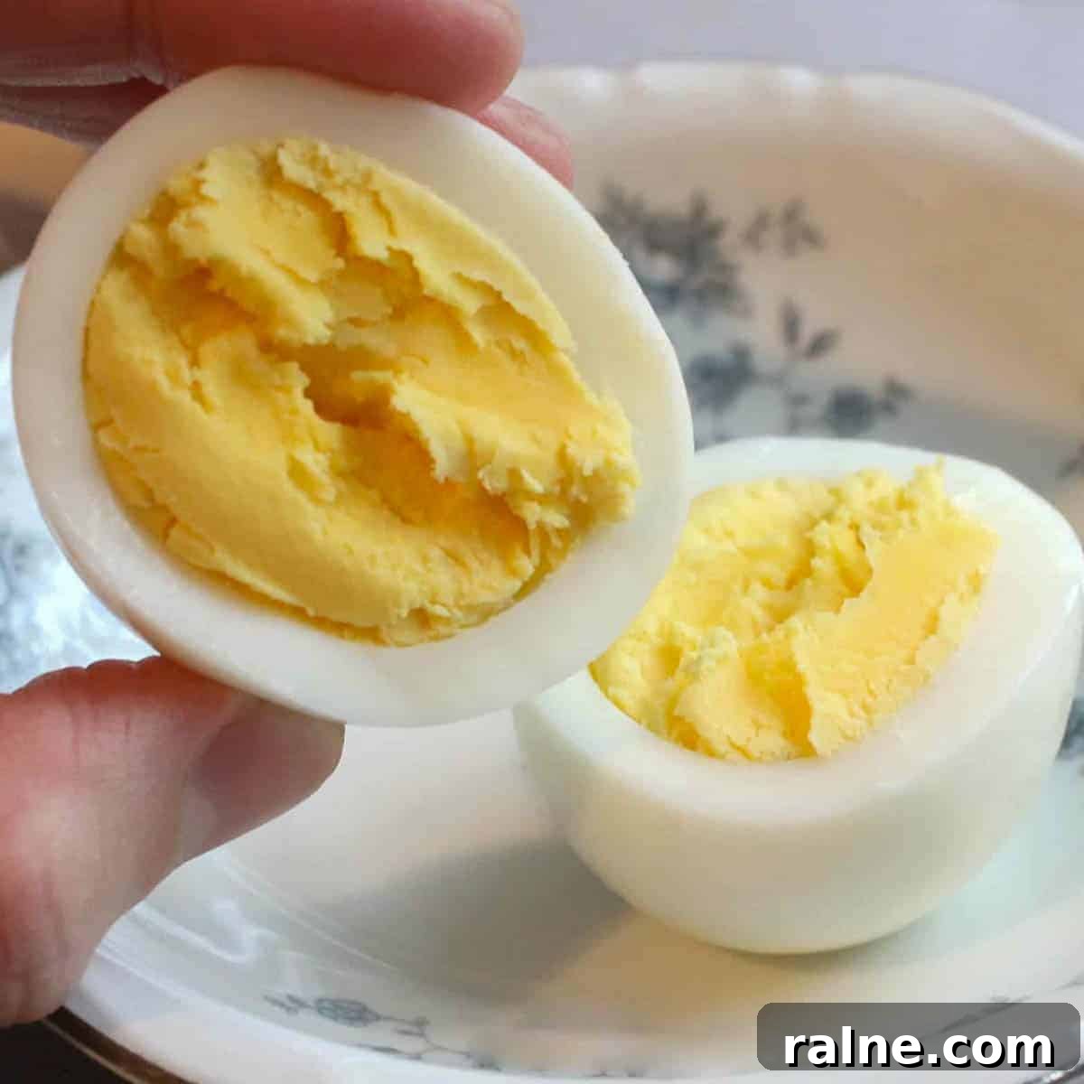 Egg close up in hand