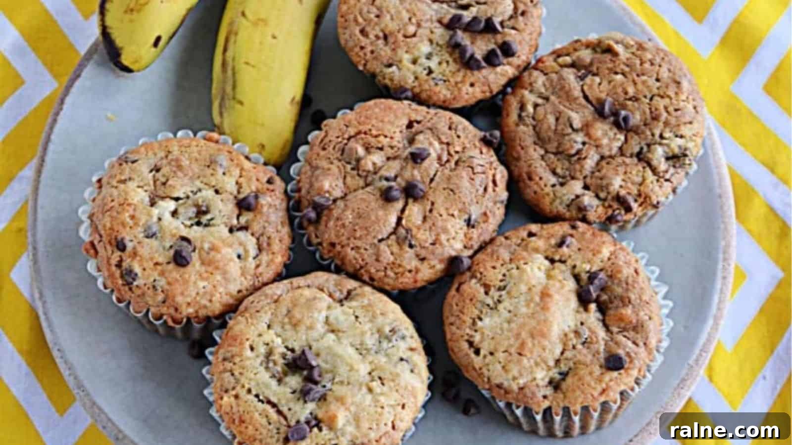 20 Sweet Muffin Recipes You Can Bake Anytime 4 Biscoff Banana Chocolate Chip Muffins