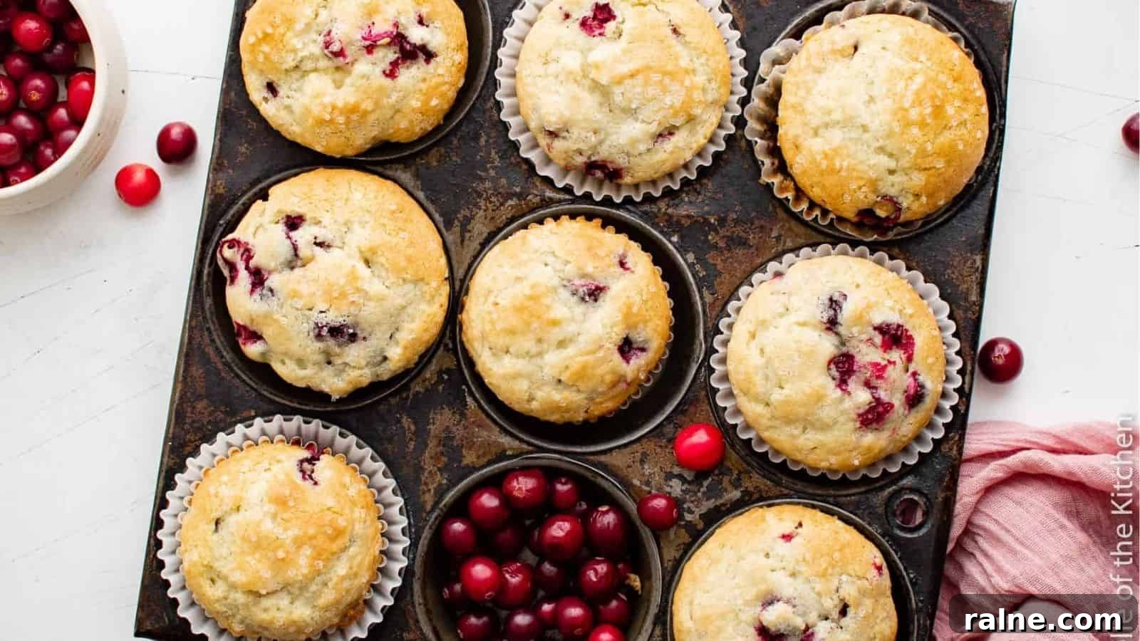 20 Sweet Muffin Recipes You Can Bake Anytime 8 Cranberry Muffins