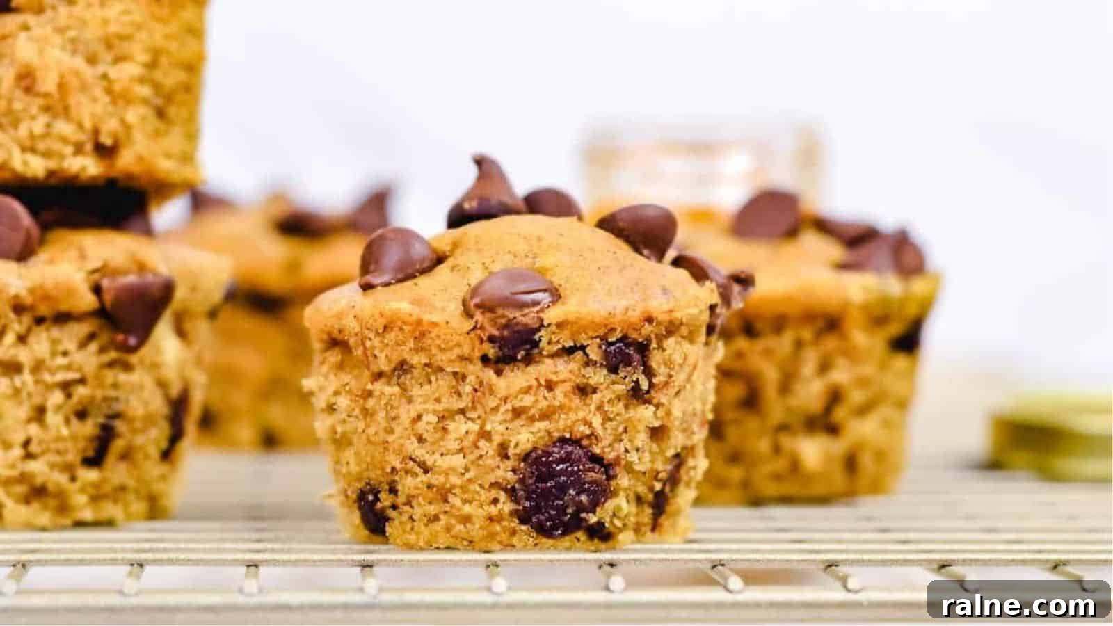 20 Sweet Muffin Recipes You Can Bake Anytime 10 Chocolate Chip Banana Peanut Butter Muffins