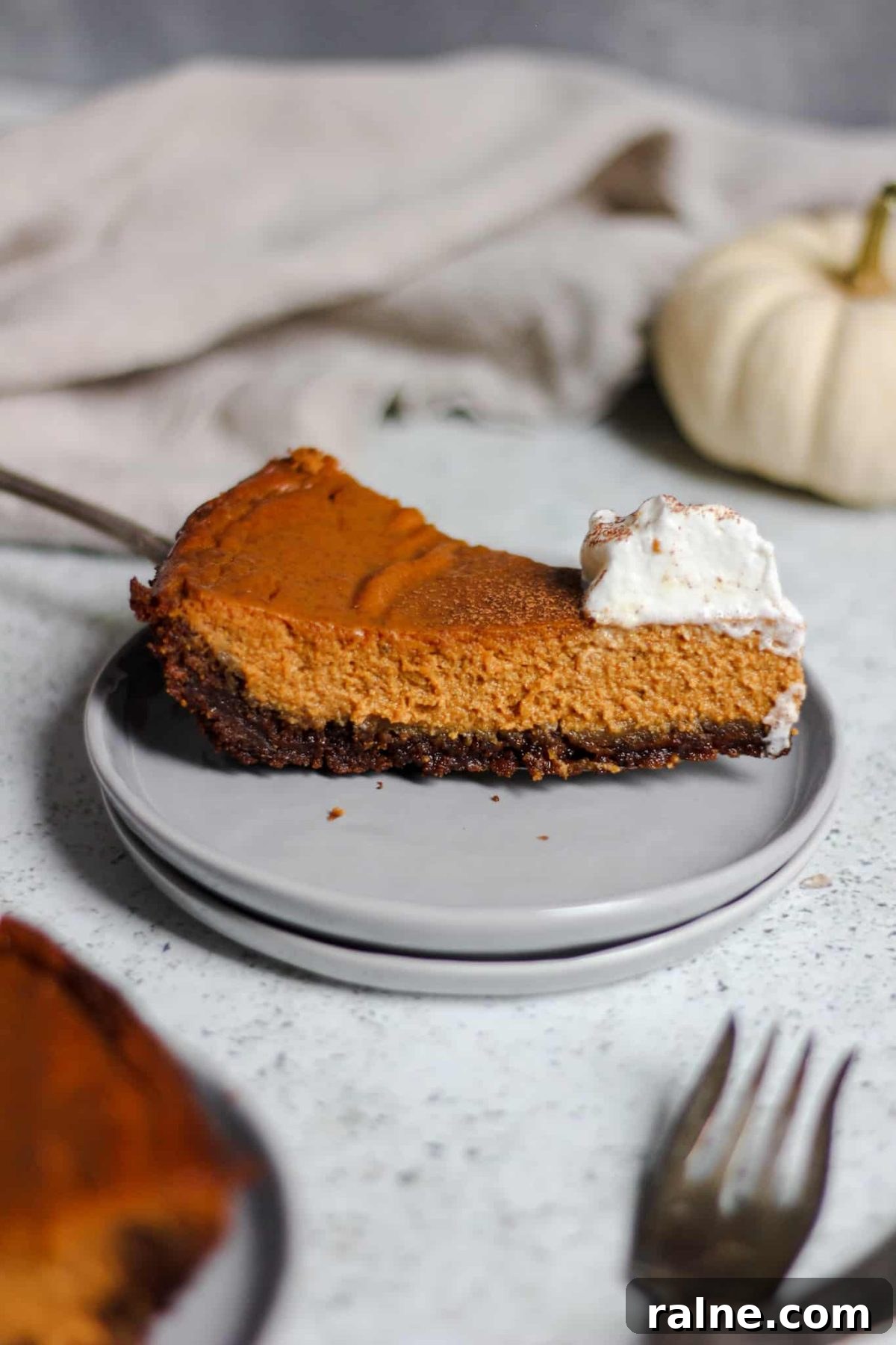 slice of fall pie with whipped cream and a small white pumpkin