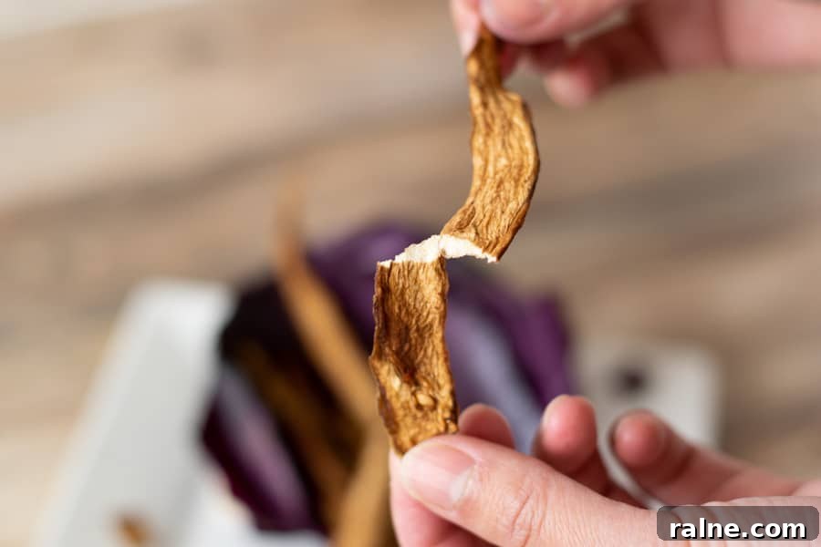 Summer Eggplant Jerky Recipe: Crispy Savory Plant-Based Snack 11 Broken eggplant jerky
