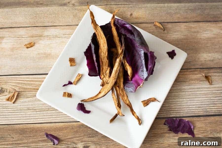 Summer Eggplant Jerky Recipe: Crispy Savory Plant-Based Snack 12 Eggplant jerky on red cabbage on white plate