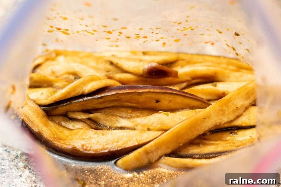 Summer Eggplant Jerky Recipe: Crispy Savory Plant-Based Snack 8 Eggplant slices in marinade in ziplock bag